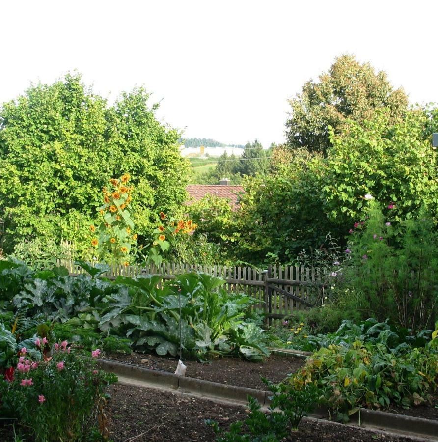 2-Zimmer-Ferienwohnung Gartenblick روتفايل المظهر الخارجي الصورة